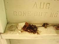 Family Ledge with Offerings